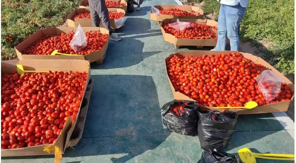 {f6f4fae8-5660-40e8-8003-1489199f5632}