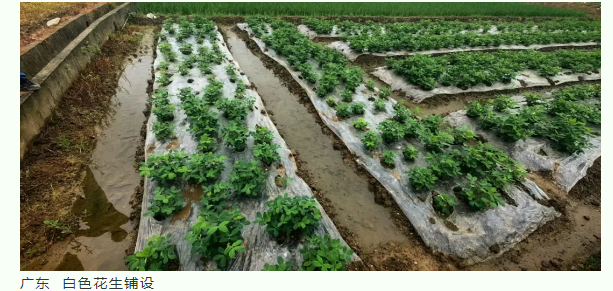 {8576dab9-6061-4309-bbc1-12fa4013d562}